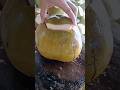 "Don't copy if you're not an expert!"🥥🌴#coconut#asmr#satisfying#oddlysatisfying#foodprocess