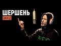 Pit Bull LIVE | ЗАХІД : ШЕРШЕНЬ