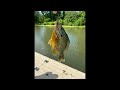 Jorge Peralta is fishing 🎣 #fishing
