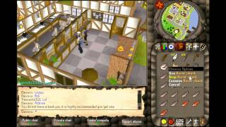 Elevorix - 2006Scape