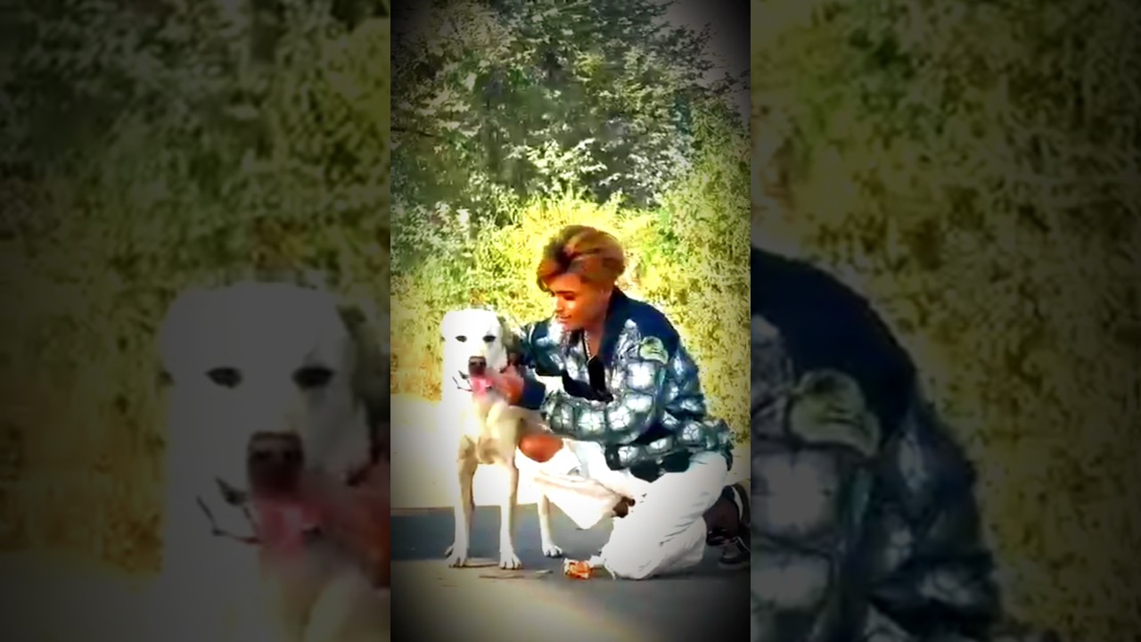 India ka number van chhapri 