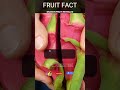 The Exotic Dragon Fruit Revealed! 🐉 #shorts #science #dragonfruit #exotic #revealed #powerhouse