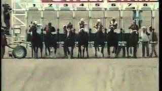 310-2012.Flv