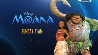 Disney 100 Celebration - Moana Hindi PROMO 2 | Disney Channel India