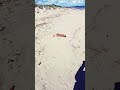 Platamona : oltre le apparenze... #sardegna# Sassari# maggio#natura#orizzonti#shorts