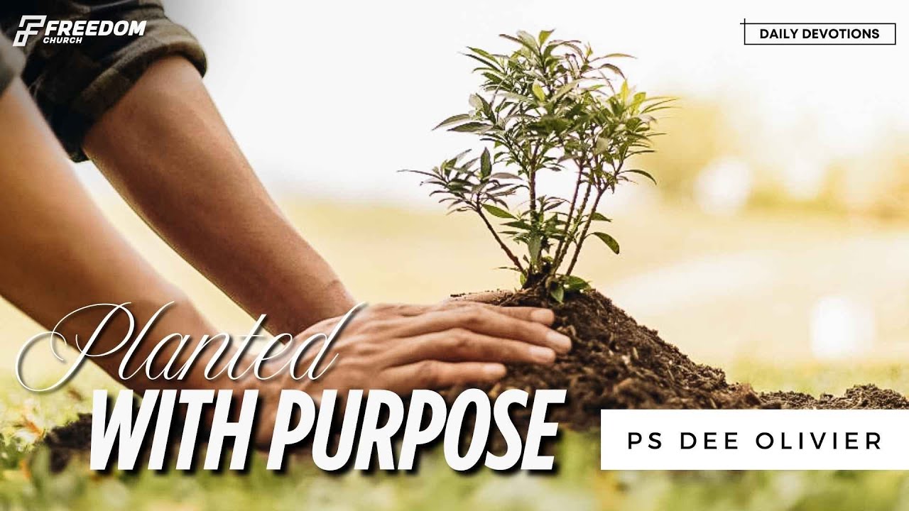 Planted With Purpose - Part 5 - Ps Dee Olivier - YouTube