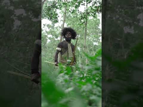 1. A Entidade Reguladora em Portugal: SRIJ