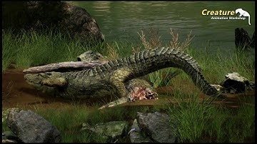 CAW Creature Animation Workshop works  Kishore crocodile