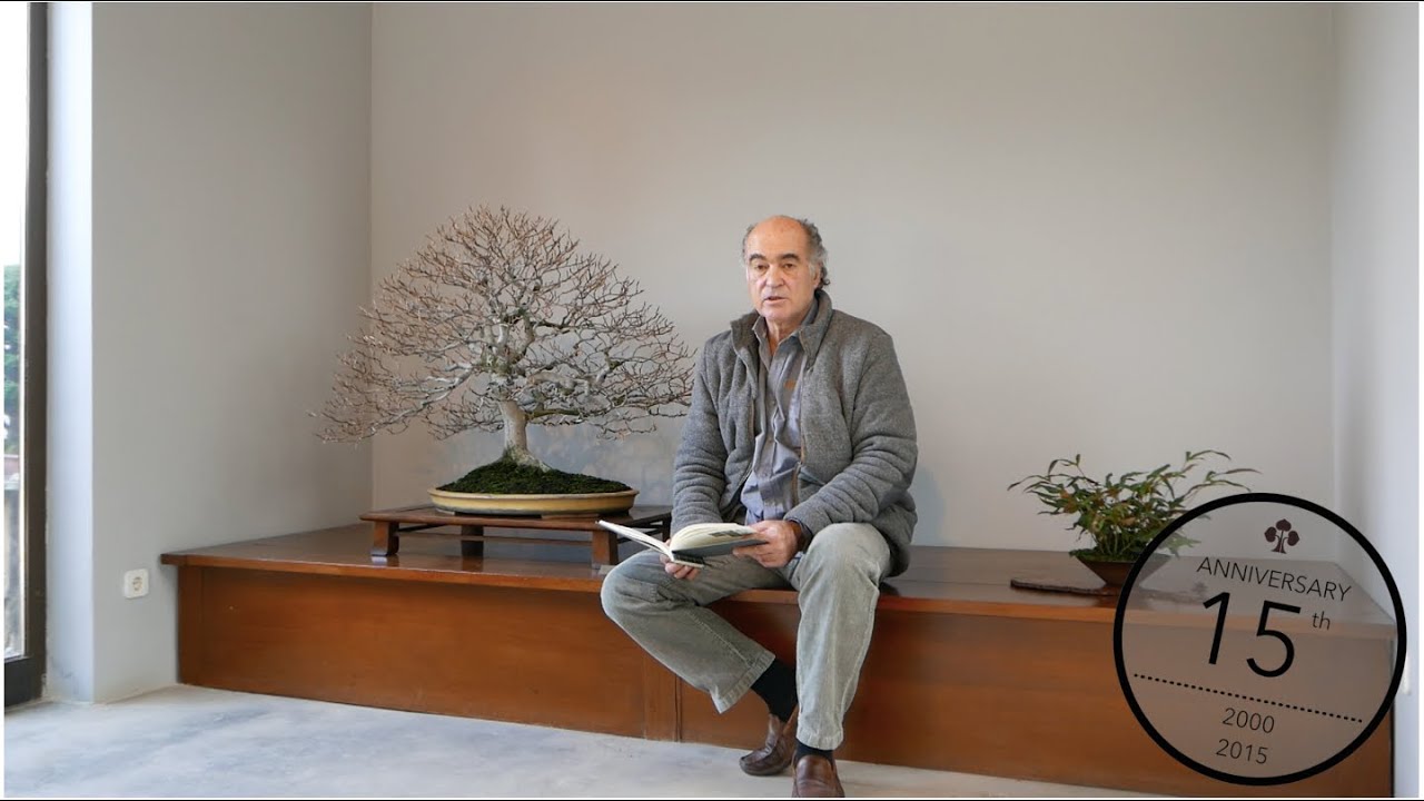 Especies de Bonsai, Luis Vallejo