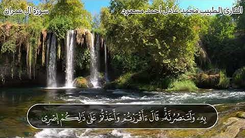 ما تيسر من سورة آل عمران ( الآيات ٧٥: ٩٢ ) #القارئ_الطبيب_محمد_عادل_أحمد_مسعود