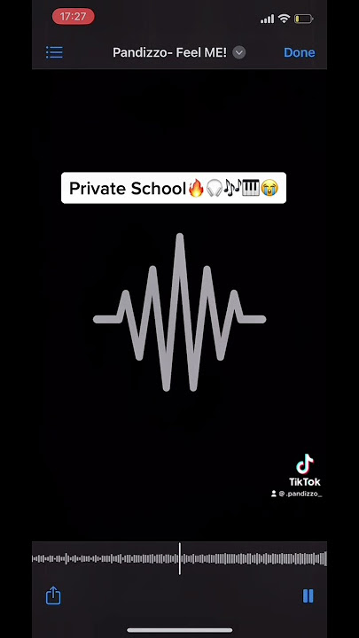 Private School Amapiano🔥🔥 @Pandizzo  #amapiano2023 #shorts #pandizzo