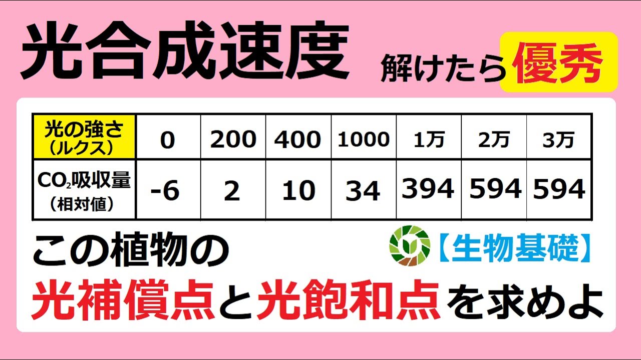 【生物基礎】光合成速度の計算問題を完璧にするよ！