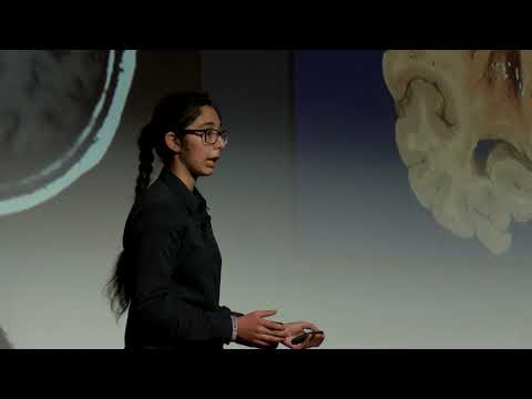 The Big Questions of Biomedical Engineering | Sofia Mehmood | TEDxYouth@PWHS