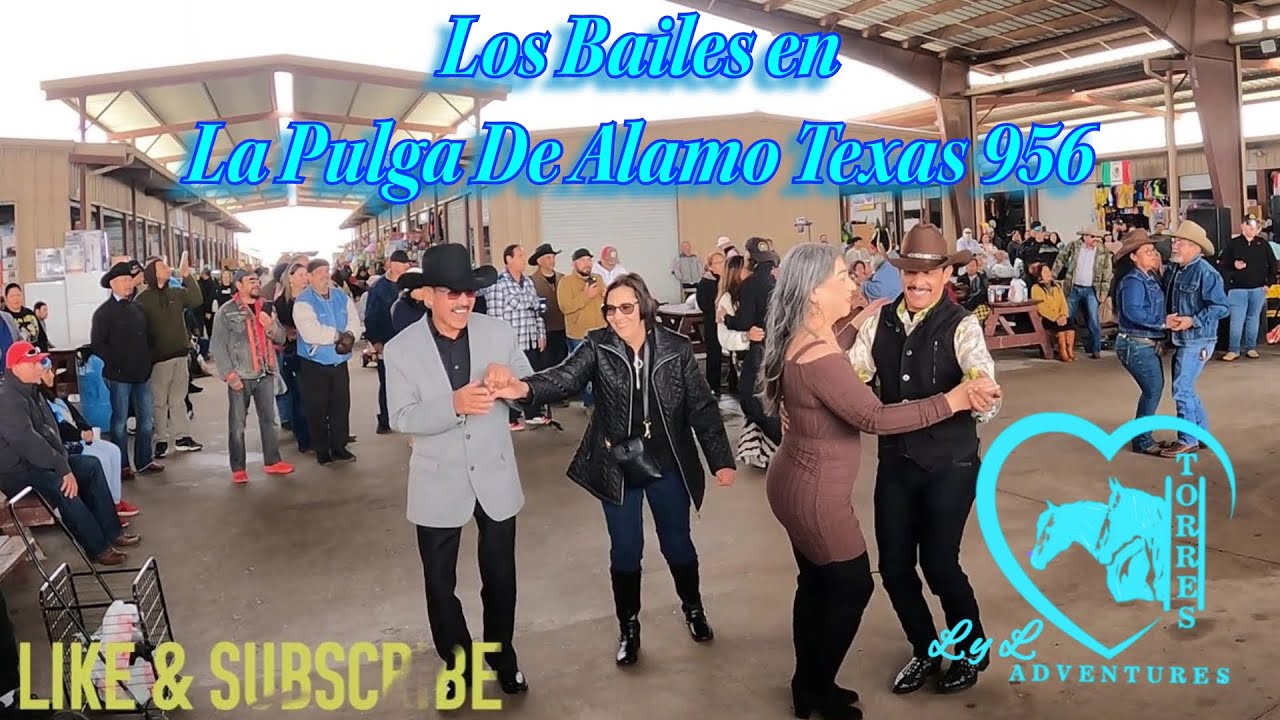 La Pulga De Alamo Tx