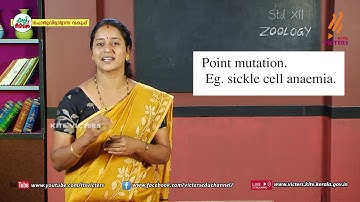 KITE VICTERS Plus two Zoology Class 22 (First Bell-ഫസ്റ്റ് ബെല്‍)