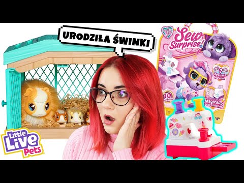 Wideo: Polly Pockets są POWRÓT i nie możemy być bardziej podekscytowani