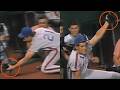 Elster catches kitten on the field