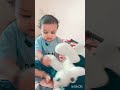 taddy