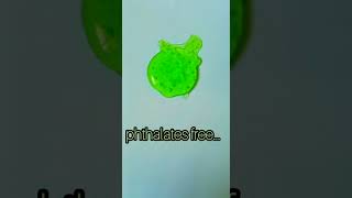 Biotique Green Apple Shampoo.. #shorts #haircare #chemicalfree #shinyhair #organic #preservativefree