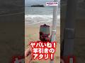【キス釣り】秋のデカギスは来たのか？福吉海岸を緊急調査！