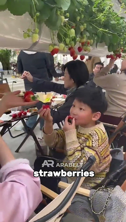 Dining Under Strawberries: The Freshest Meal Experience!