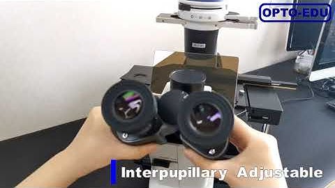 OPTO EDU A16.0912-L LED Inverted Fluorescence Microscope, Semi-APO