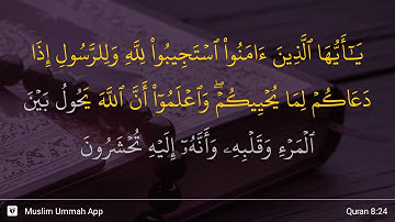 سوره انفال، آیه ۲۴