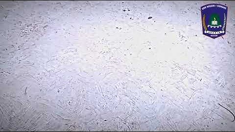 TUGAS INFORMATIKA (membuat video cinematic maket komputer dan laptop)