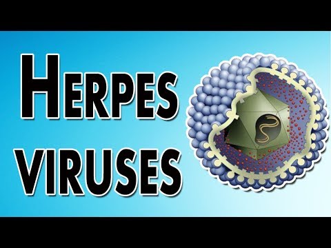 Video: Cytomegalovírus A Herpes