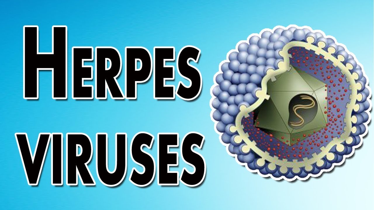 Herpes Symptoms, Treatment, and Causes YouTube