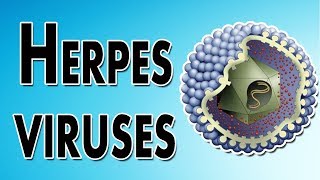 Herpes Symptoms, Treatment, and Causes Net Worth