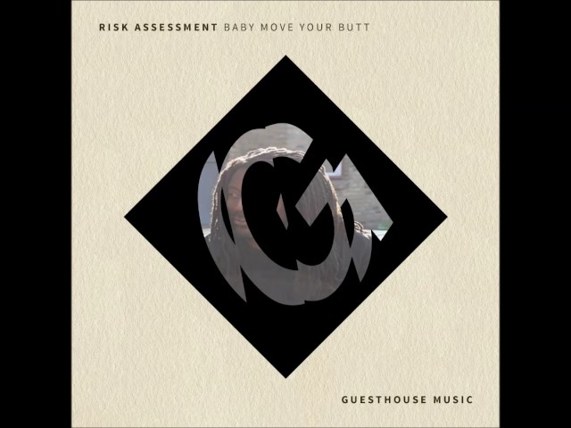 Risk Assessment - Baby Move