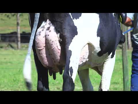 LOTE 56   ALDEIAS FIV EQUITY SANTA LUZIA  0707 CI