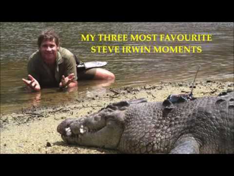 My 3 Most Favourite Steve Irwin Moments