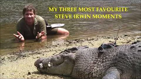 My 3 Most Favourite Steve Irwin Moments