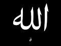 حضره صوفيه روعه المنشد حسان سروجي حضره صوفيه روعه المنشد حسان سروجي