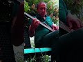 White Room Bass Short | Cream Classic Rock