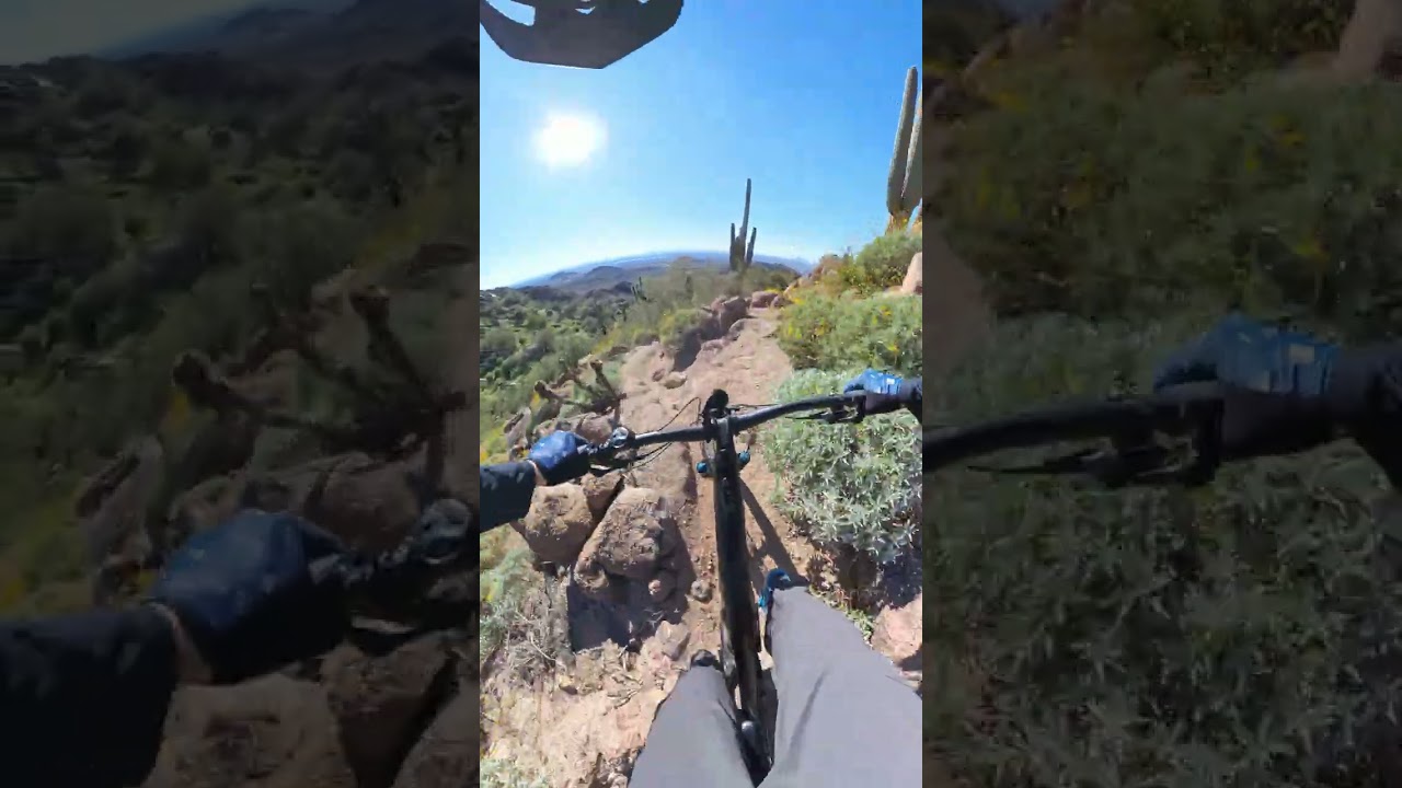 SUNSET RIDGE X BIG SISTER!!!!