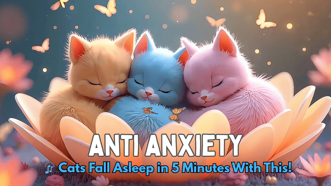 Peaceful Piano Music for Cats That Relieves Stress, Encourages Relaxation, and Deep Sleep