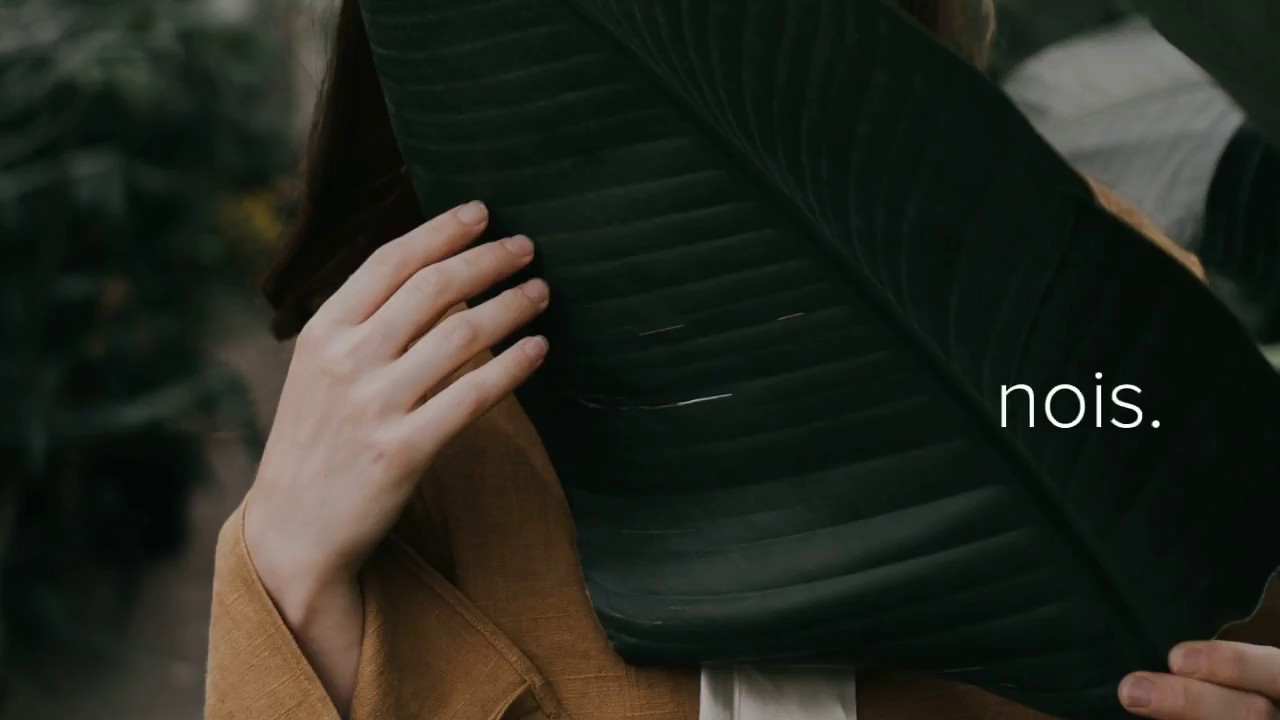 Morning, Before My Plant Dies // Thalab