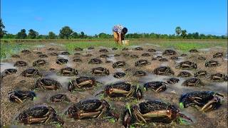 Traditional fishing Crabs! When low water after flooding A fisherman.