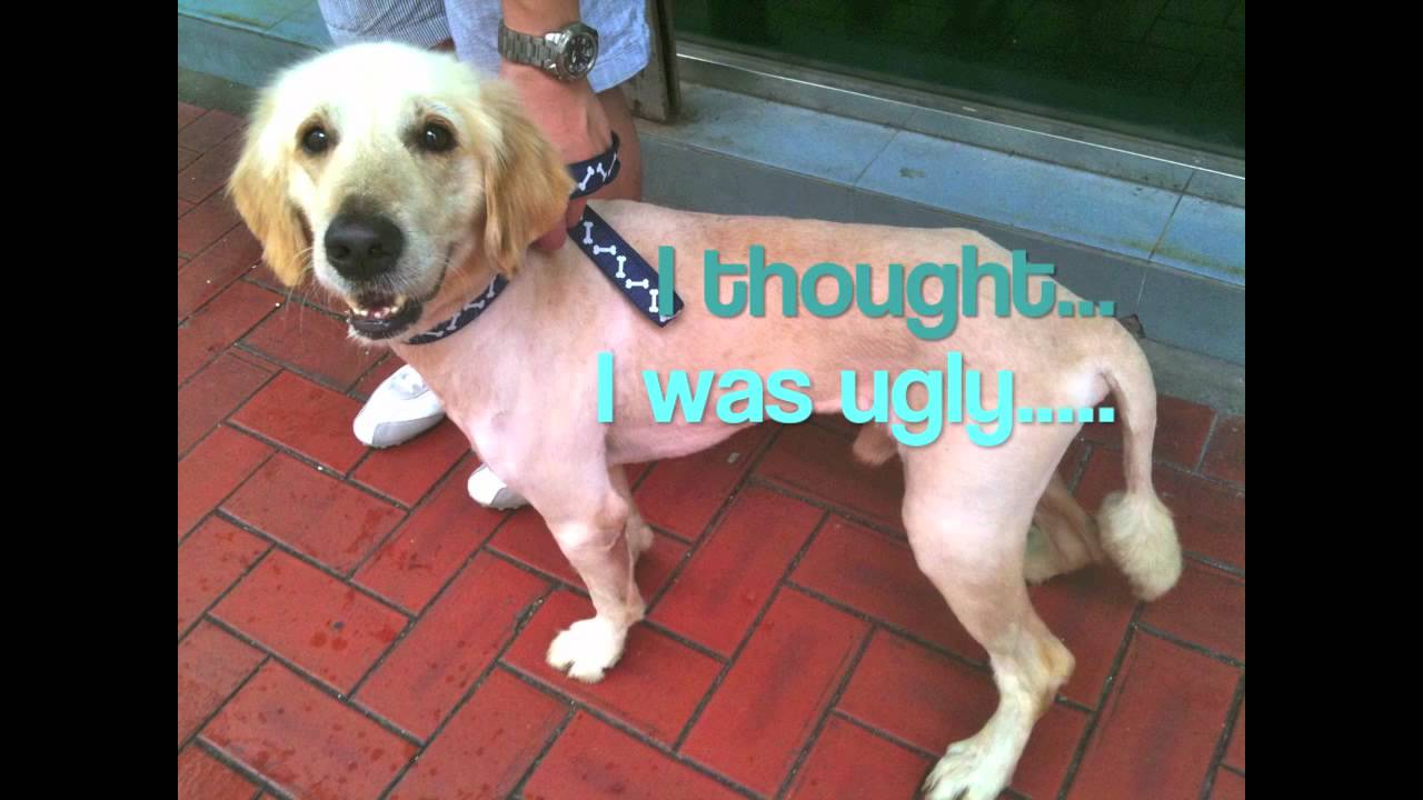 Luplup's birthday2011