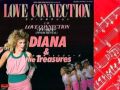 Diana  the treasures  love connection 1985 aor