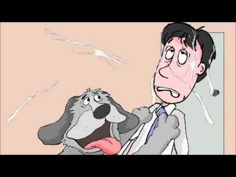 how-to-stop-and-manage-your-dogs-slobber-and-drooling-mess-in-your-home-and-car