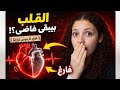 هل فعلا القلب بيبقي فاضي القرأن قالها والعلم اكتشفها سر القلب وقت الخوف