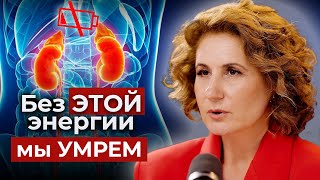 ЗДОРОВЫЕ ПОЧКИ ЭТО ПРОСТО! Тайны ЦИ почек