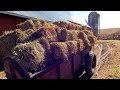 Moving hay bales and feeding cows