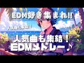 【夏こそEDMっしょ‼】爆音で聴いて欲しいEDMメドレー♪[TomorrowNeveNeveland 2025]　A collection of popular songs! EDM medley!