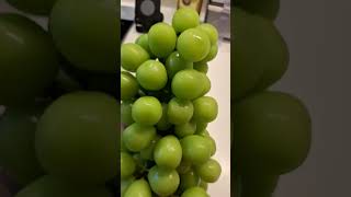 KOREAN  SEEDLESS  GRAPES /Joy Mix vlog