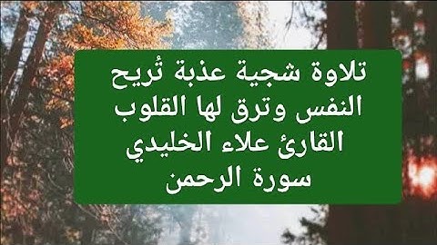 تلاوة شجية عذبة تُريح النفس وترق لها القلوب القارئ علاء الخليدي سورة الرحمن